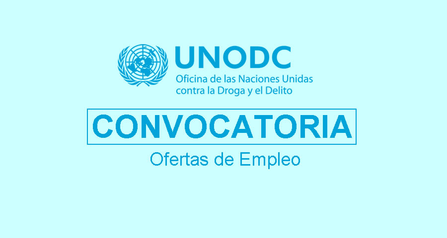 UNODC requiere profesionales